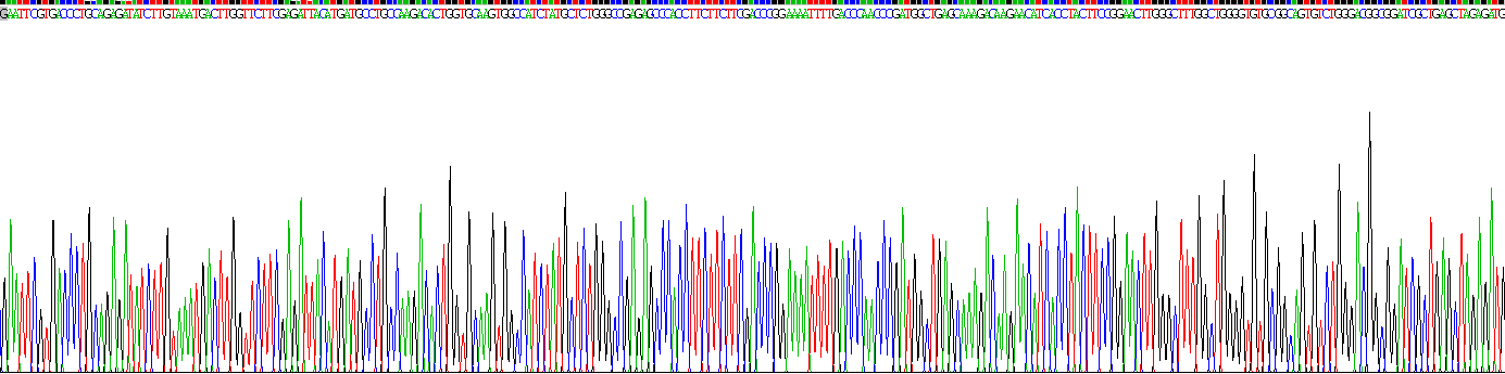 Recombinant Cytochrome P450 11A1 (CYP11A1)