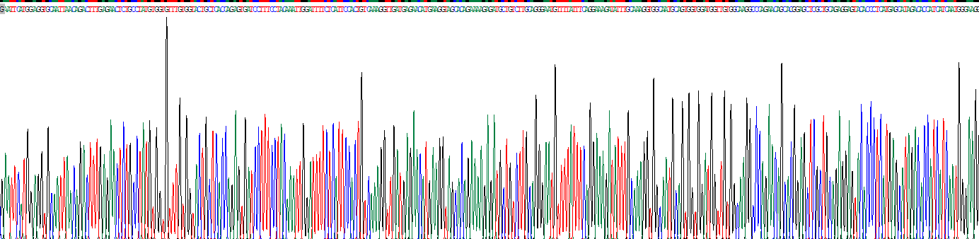 Recombinant Glutamate Cysteine Ligase, Catalytic (GCLC)