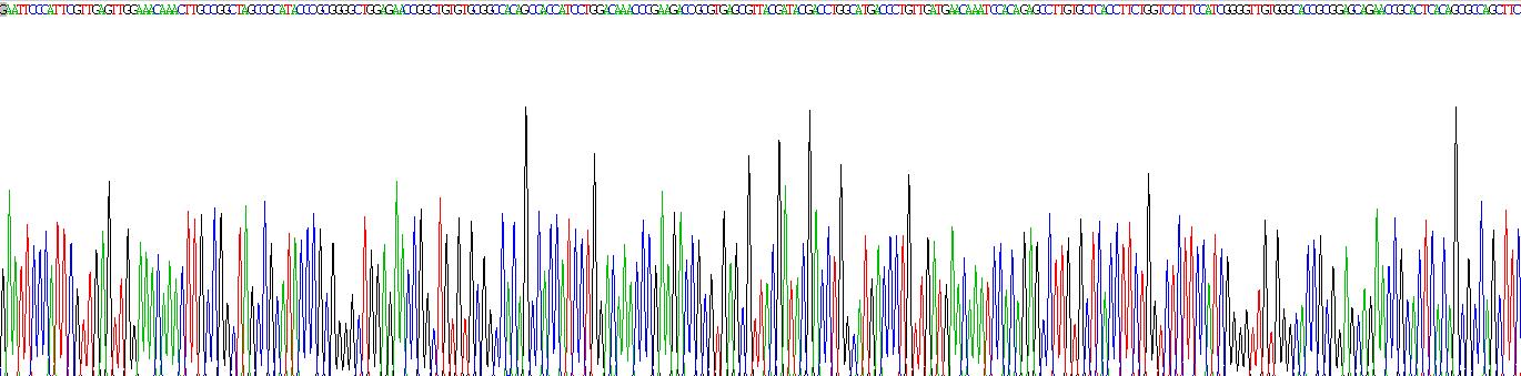 Recombinant D-Dopachrome Tautomerase (DDT)