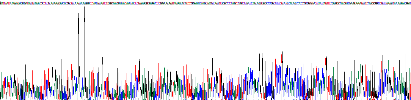 Recombinant Thrombospondin 4 (THBS4)