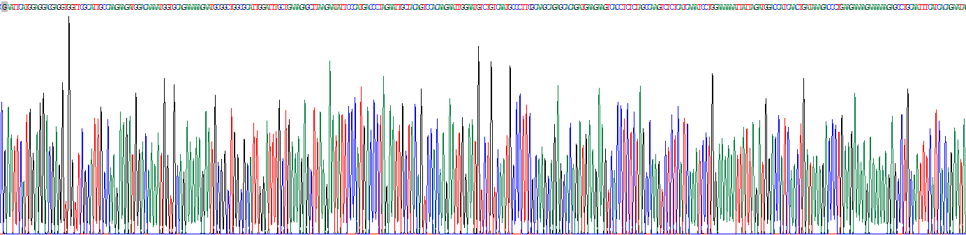 Recombinant Transcription Elongation Factor A1 (TCEA1)