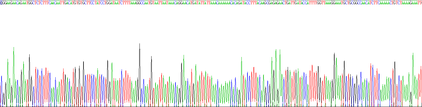 Recombinant Baculoviral IAP Repeat Containing Protein 2 (BIRC2)