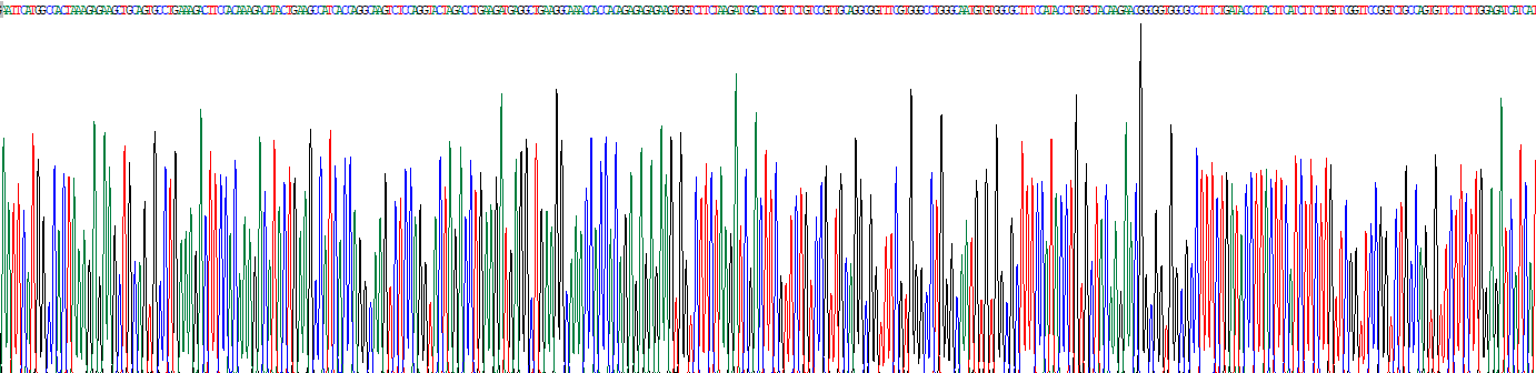 Recombinant Taurine Transporter (TAUT)