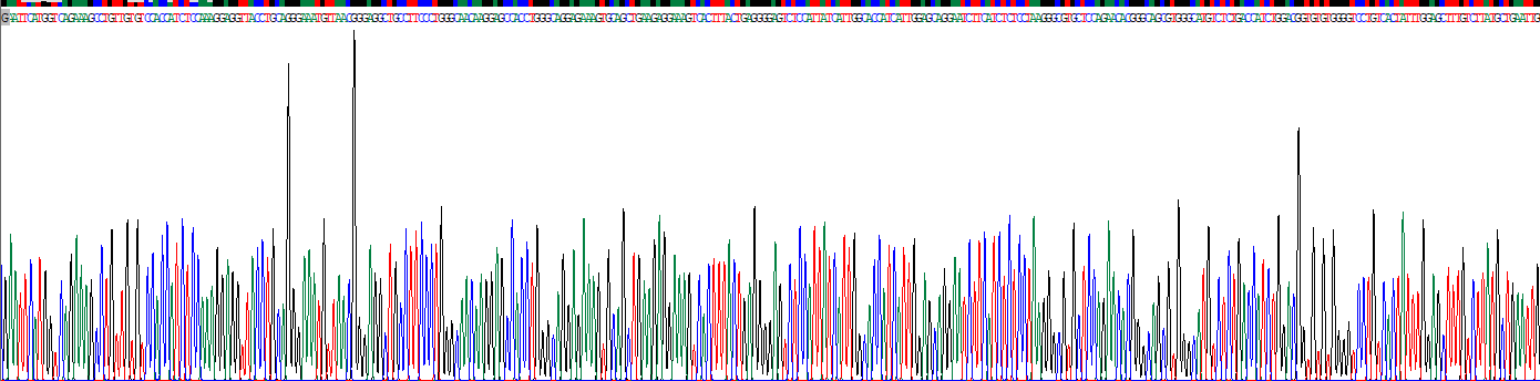 Recombinant Solute Carrier Family 7, Member 11 (SLC7A11)