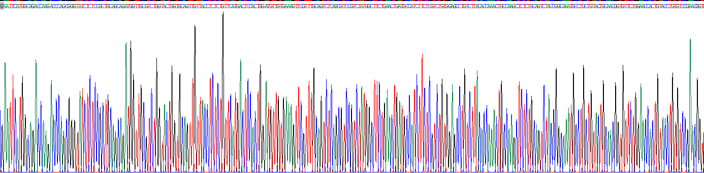 Recombinant Solute Carrier Family 25, Member 39 (SLC25A39)