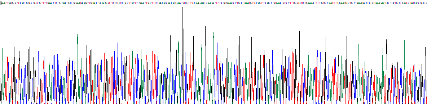 Recombinant Solute Carrier Family 26, Member 4 (SLC26A4)