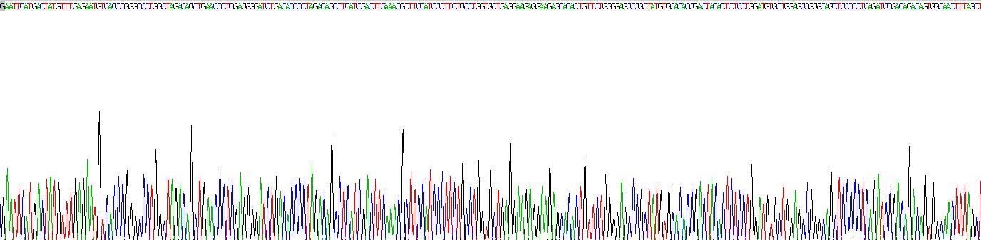 Recombinant Gasdermin A (GSDMA)