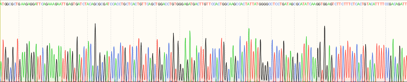 Recombinant Ubiquitin Conjugating Enzyme E2D1 (UBE2D1)