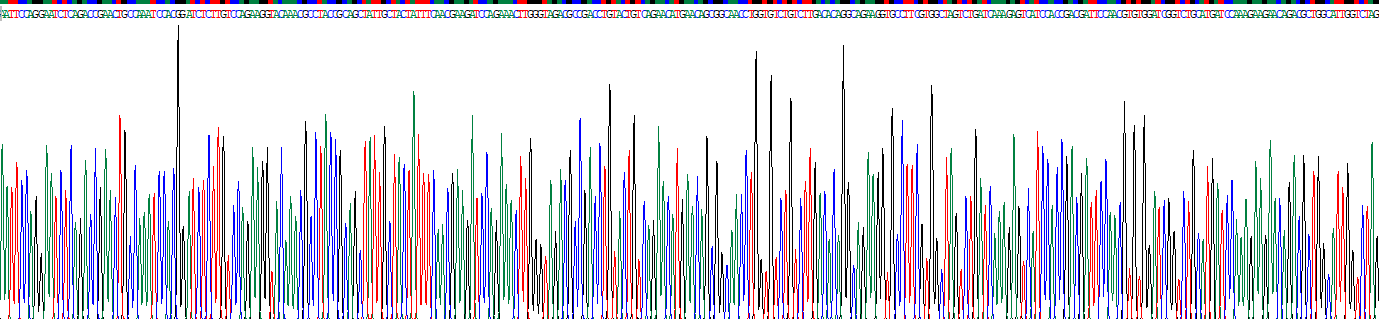 Recombinant Regenerating Islet Derived Protein 1 Beta (REG1b)
