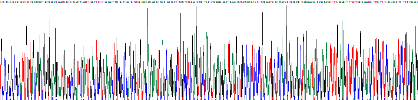 Recombinant Wiskott Aldrich Syndrome Protein Family, Member 2 (WASF2)