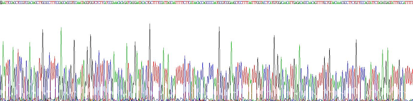 Recombinant Glutamate Receptor, Ionotropic, AMPA 4 (GRIA4)