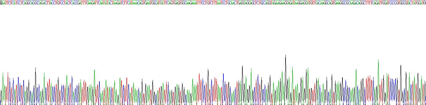 Recombinant Aldehyde Dehydrogenase 1 Family, Member A1 (ALDH1A1)