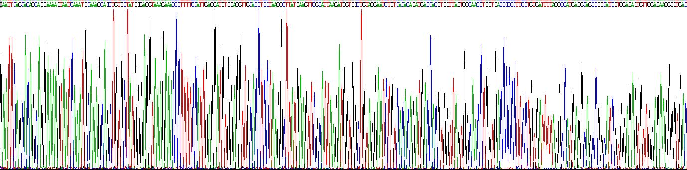 Recombinant Alcohol Dehydrogenase 2 (ADH2)