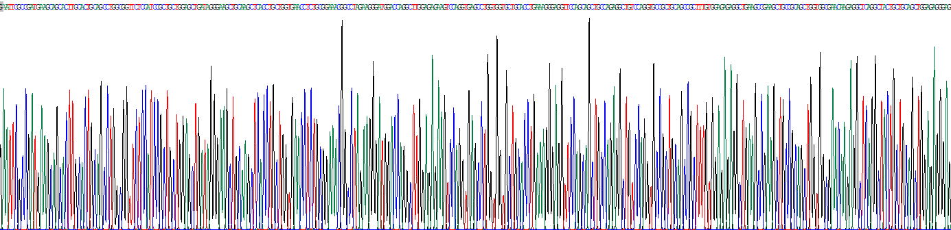 Recombinant Sirtuin 1 (SIRT1)