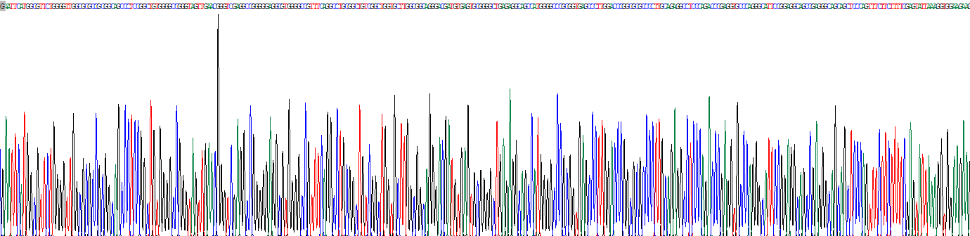 Recombinant Sirtuin 3 (SIRT3)