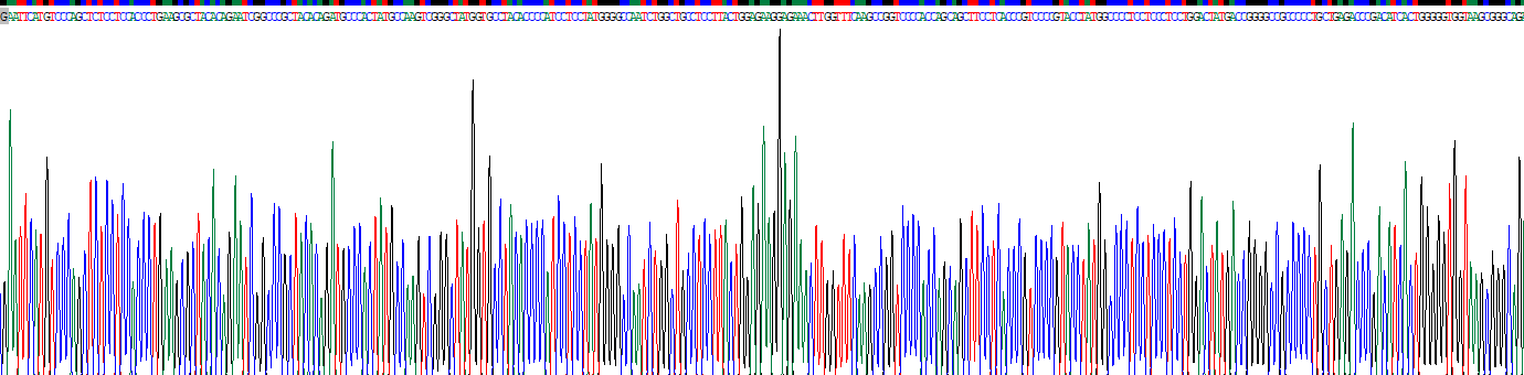 Recombinant Ubiquitin Specific Peptidase 2 (USP2)