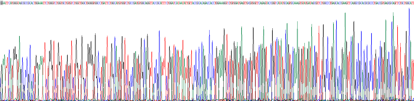 Recombinant Claudin 5 (CLDN5)