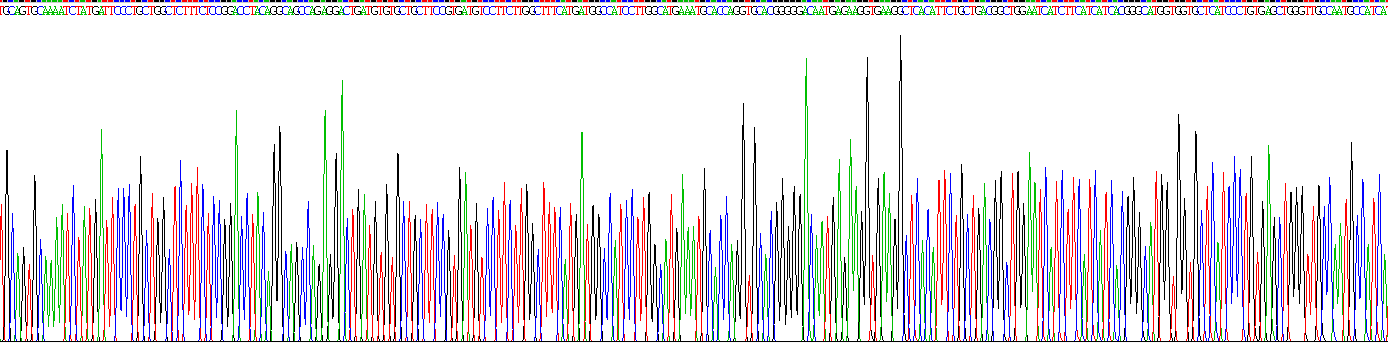 Recombinant Claudin 8 (CLDN8)