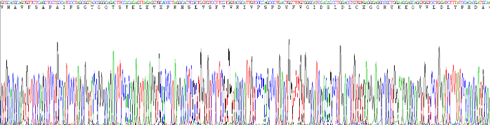 Recombinant Spondin 2 (SPON2)