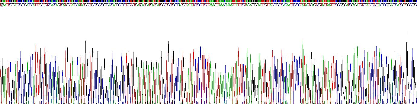 Recombinant Kisspeptin Receptor (KISS1R)