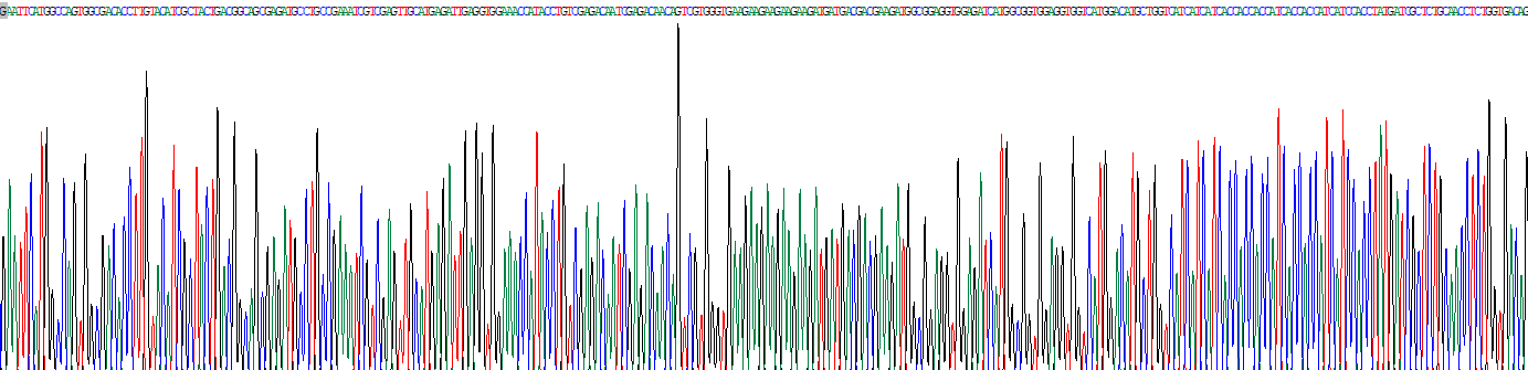 Recombinant YY1 Transcription Factor (YY1)