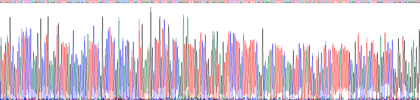 Recombinant Secreted Frizzled Related Protein 2 (SFRP2)