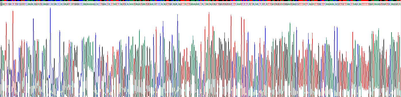 Recombinant Phosphatidylinositol Binding Clathrin Assembly Protein (PICALM)