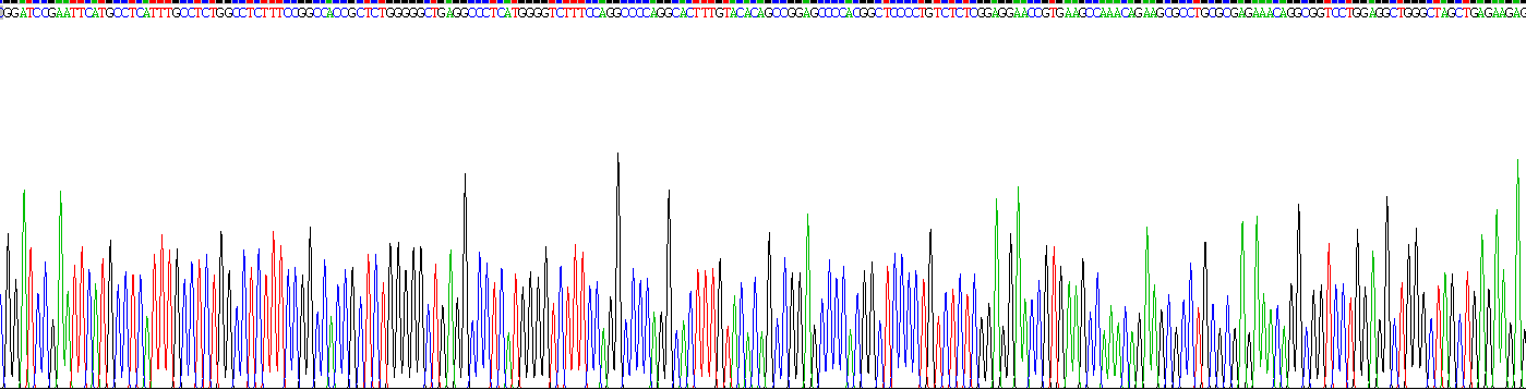 Recombinant Valyl tRNA Synthetase 2, Mitochondrial (VARS2)