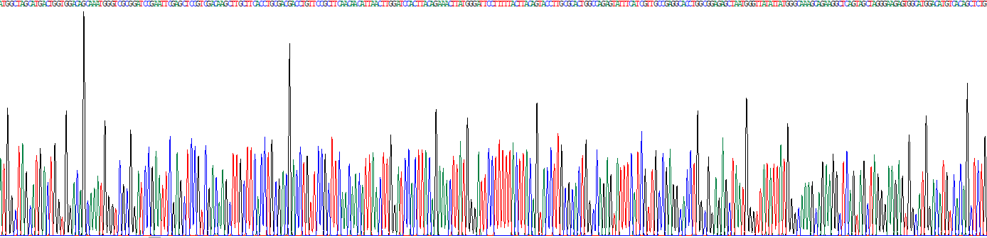 Recombinant N-Acetyltransferase 5 (NAT5)