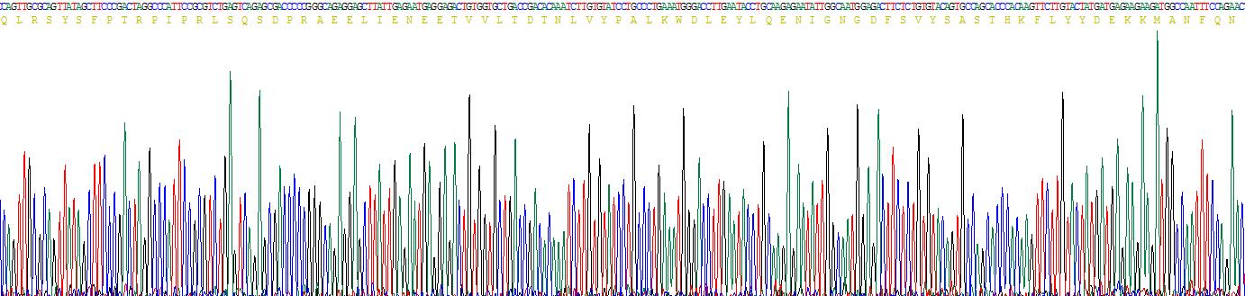 Recombinant Hypoxia Inducible Factor 1 Alpha Subunit Inhibitor (HIF1aN)