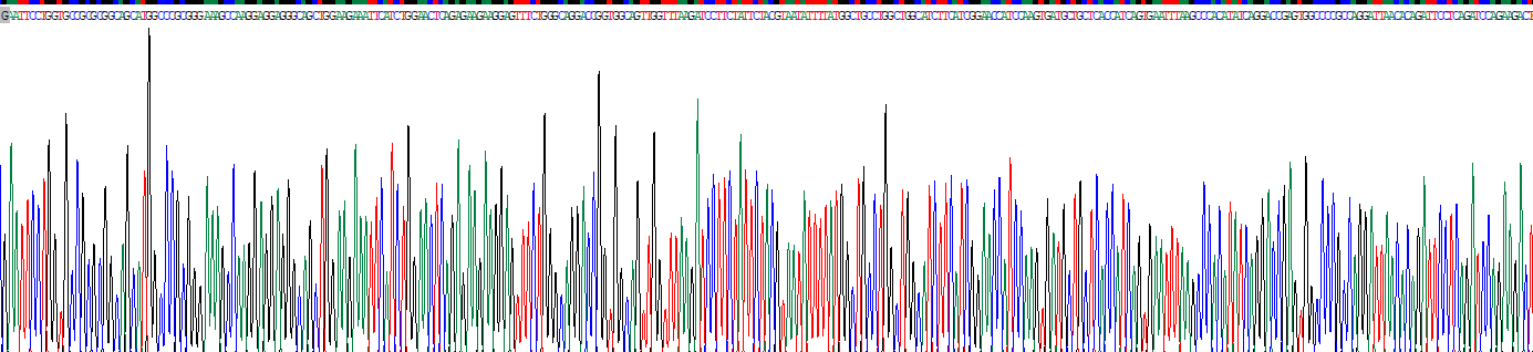 Recombinant ATPase, Na+/K+ Transporting Beta 1 Polypeptide (ATP1b1)