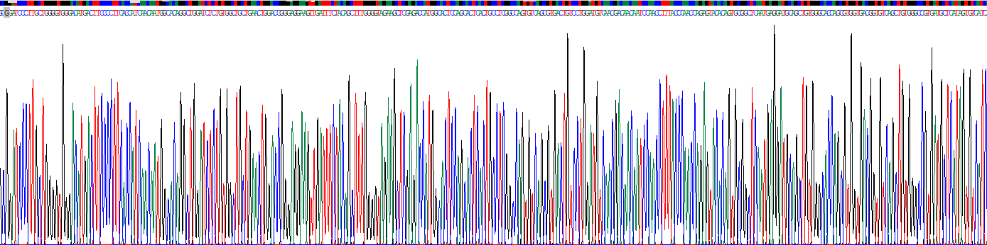 Recombinant Cadherin EGF LAG Seven Pass G-Type Receptor 2 (CELSR2)