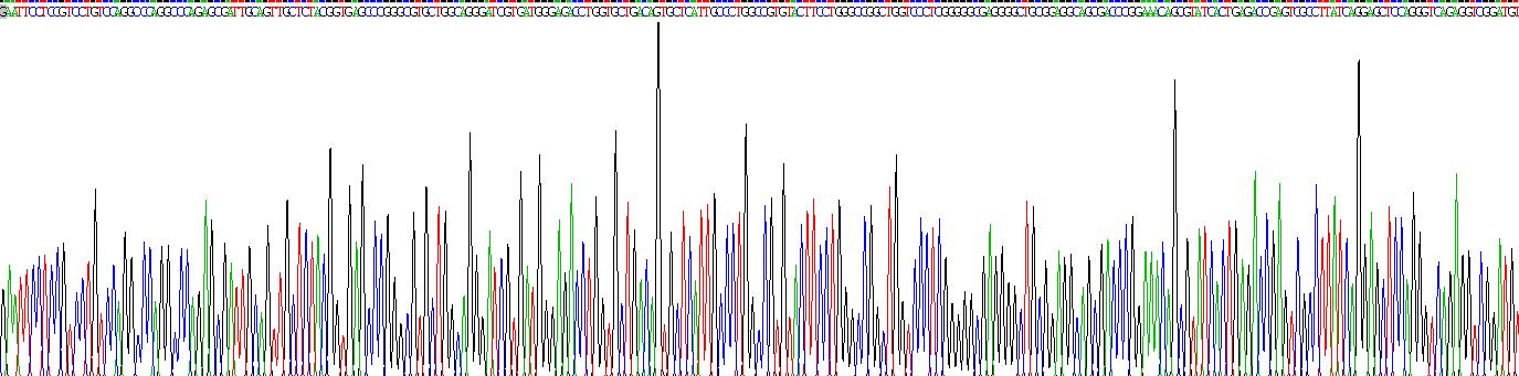 Recombinant TYRO Protein Tyrosine Kinase Binding Protein (TYROBP)