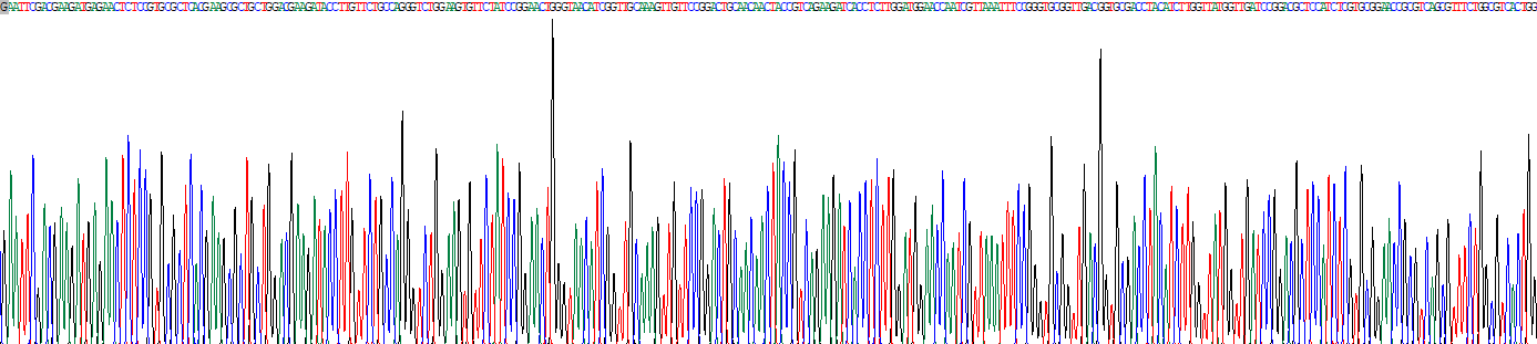 Recombinant Phosphatidylethanolamine Binding Protein 4 (PEBP4)