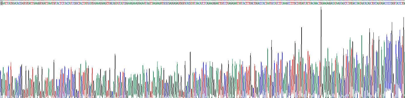 Recombinant Poly/rC Binding Protein 2 (PCBP2)