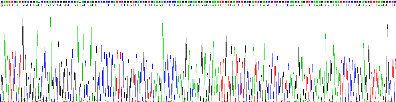 Recombinant Ubiquilin 4 (UBQLN4)