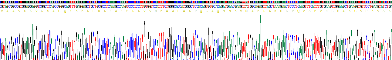 Recombinant Glutaredoxin 3 (GLRX3)