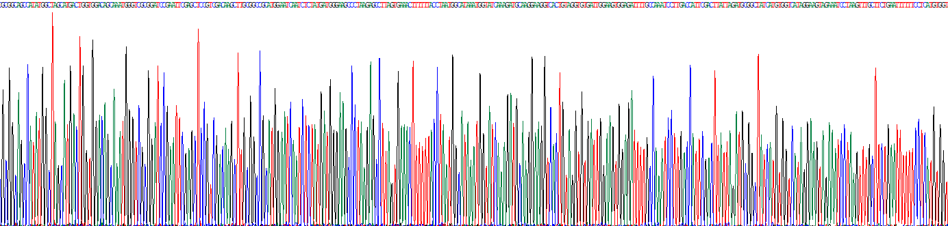 Recombinant Six Transmembrane Epithelial Antigen Of The Prostate 2 (STEAP2)