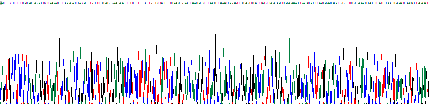 Recombinant Scavenger Receptor Class B Member 1 (SCARB1)