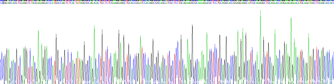 Recombinant Protamine 2 (PRM2)