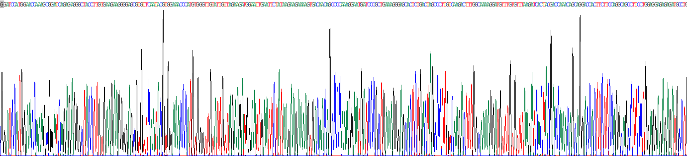 Recombinant Pleckstrin (PLEK)