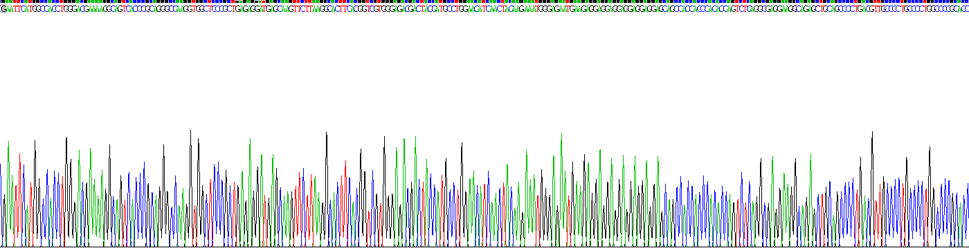 Recombinant Hydrogen Voltage Gated Channel Protein 1 (HVCN1)