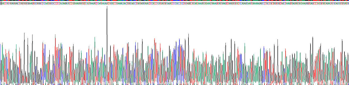 Recombinant Fragile X Mental Retardation 1 (FMR1)