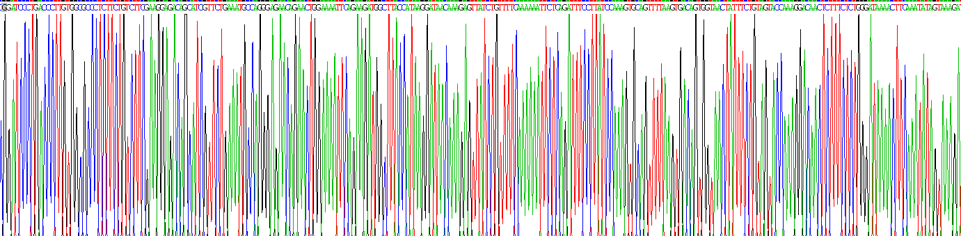 Recombinant Fc Receptor Like Protein 2 (FCRL2)