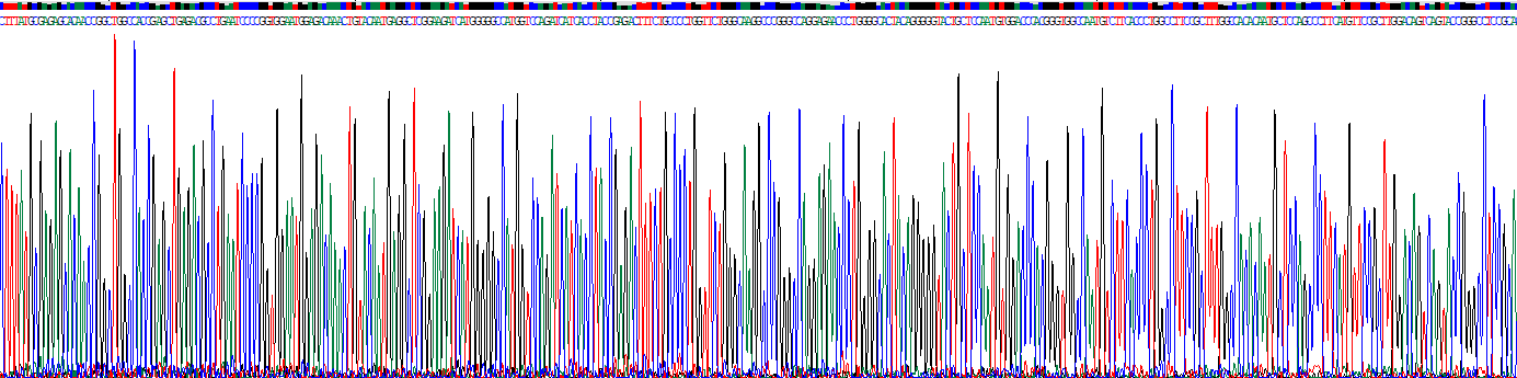 Recombinant Eosinophil Peroxidase (EPX)