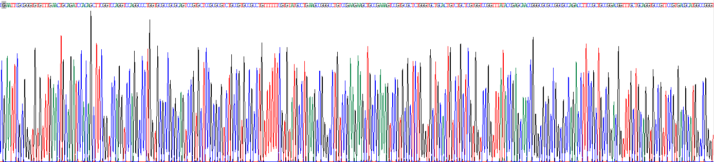 Recombinant Delta Like Protein 3 (dLL3)