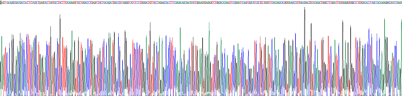 Recombinant Dihydroorotate Dehydrogenase (DHODH)