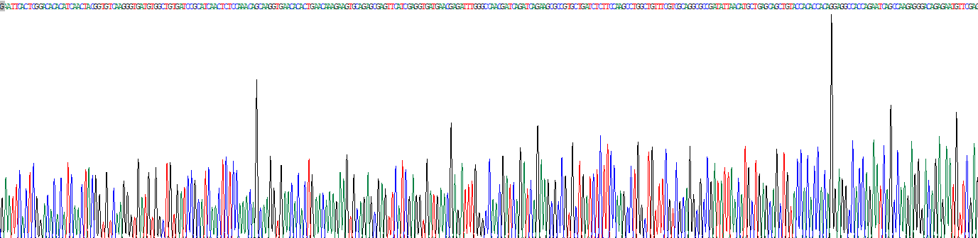 Recombinant Hydroxyacyl Coenzyme A Dehydrogenase Alpha (HADHa)