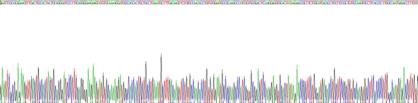Recombinant Four And A Half LIM Domains Protein 1 (FHL1)