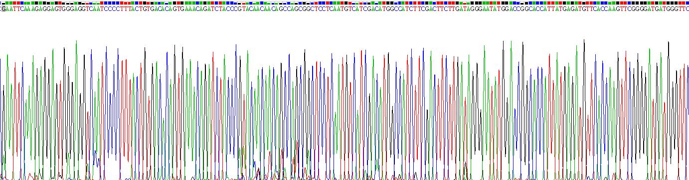 Recombinant Family With Sequence Similarity 20, Member A (FAM20A)